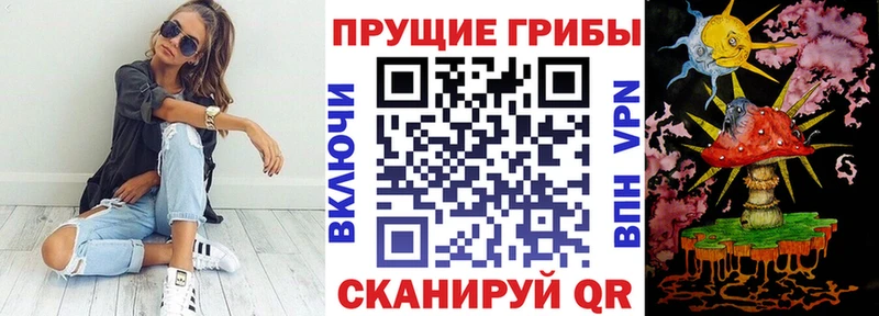 дарнет шоп  Шадринск  Галлюциногенные грибы мицелий 